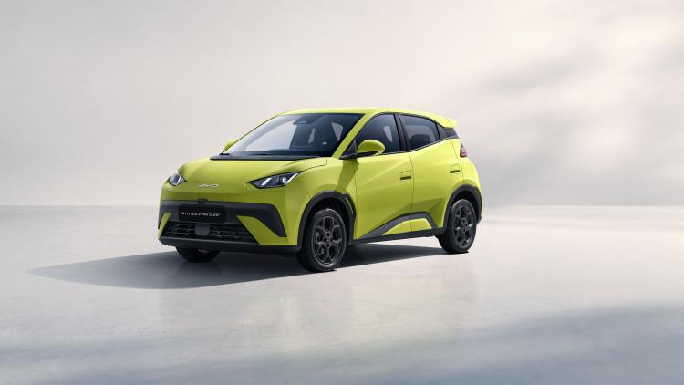 BYD Dolphin Surf